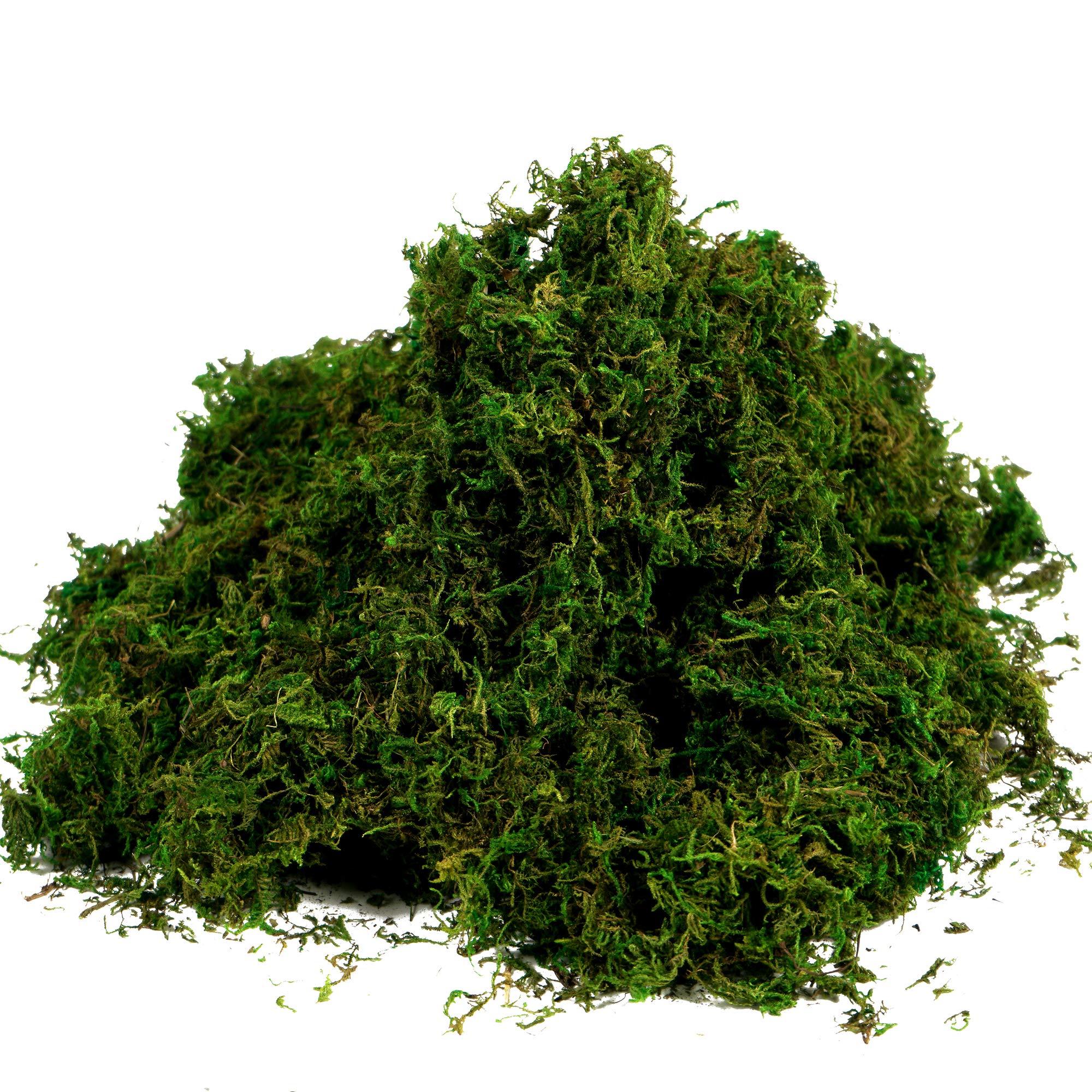 BYHER Artificial Moss Fake Green Grass for Centerpieces Home Kitchen Garden Decor (3.5OZ, Fresh)