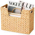 deepredcoast Wicker Magazine Basket with Handle, 2 Compartments