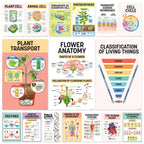 16 Science Posters For Classroom Middle School - 11X17In Biology Posters For High School Classroom, Science Classroom Decor, Mid