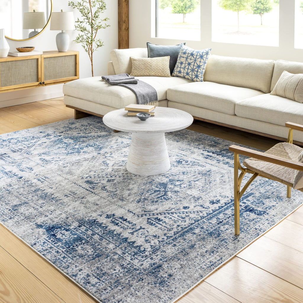 Livabliss Desta Vintage Oriental Area Rug,8'10'' x 12',Blue/White