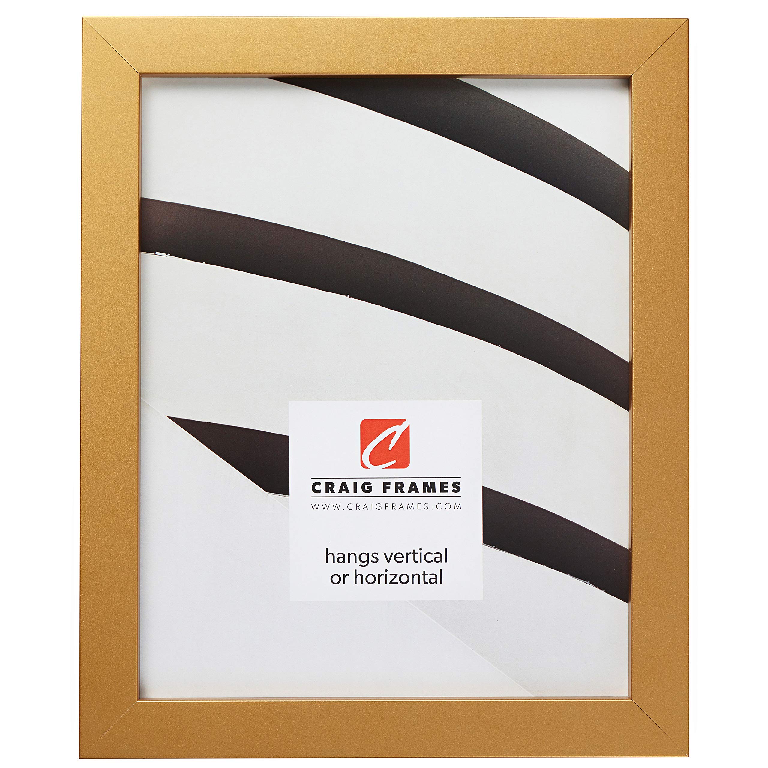Craig Frames Confetti, Modern Gold Picture Frame, 20 x 27 Inch
