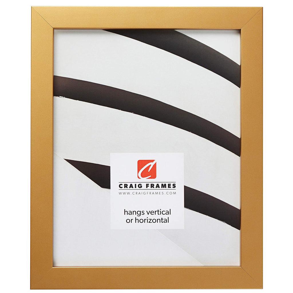 Craig Frames Confetti, Modern Gold Picture Frame, 12 x 18 Inch