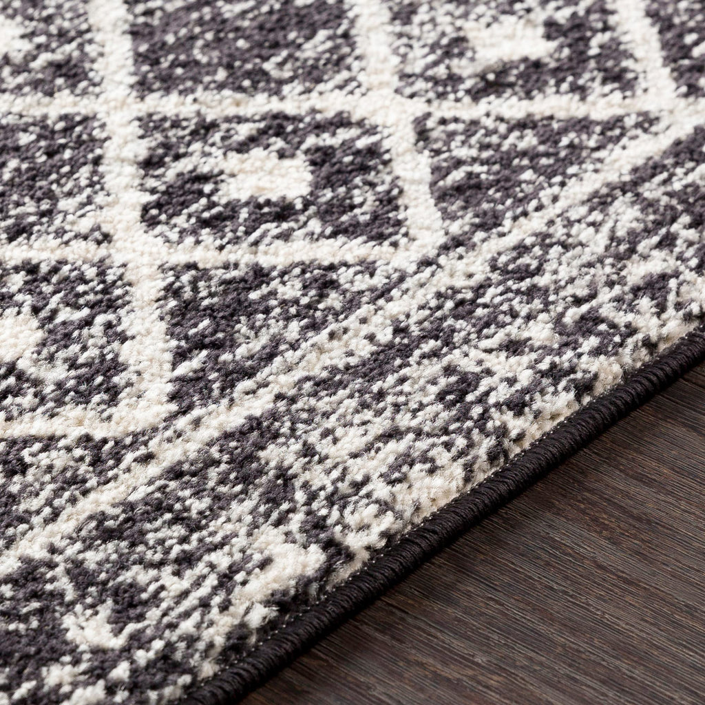 Livabliss Chester Boho Moroccan Area Rug,10' X 13',Black