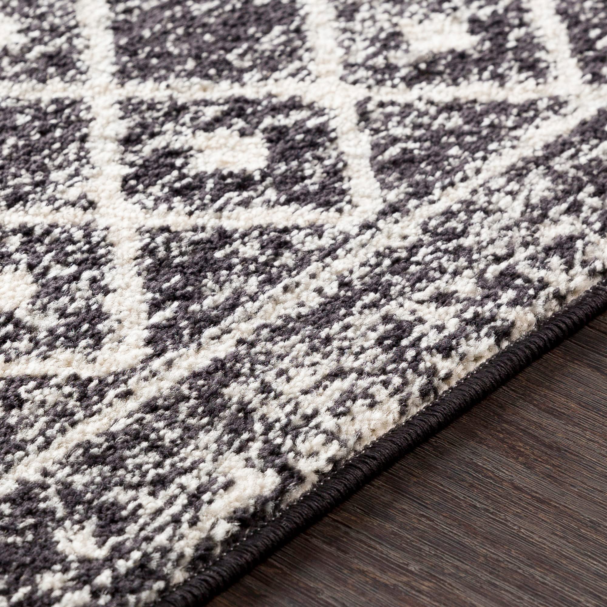 Livabliss Chester Boho Moroccan Runner Area Rug,2'7'' X 20',Black