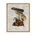 Poster Master Vintage Dictionary Poster - Retro Botanical Print - Gift for Gardener, Housewarming - Mushroom, Book Page, Leaf - 