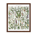 Poster Master Vintage Adolphe Millot Poster - Retro Drawing Print - Gift for Doctor, Gardener - Medicinal Plants, Botanical, Her