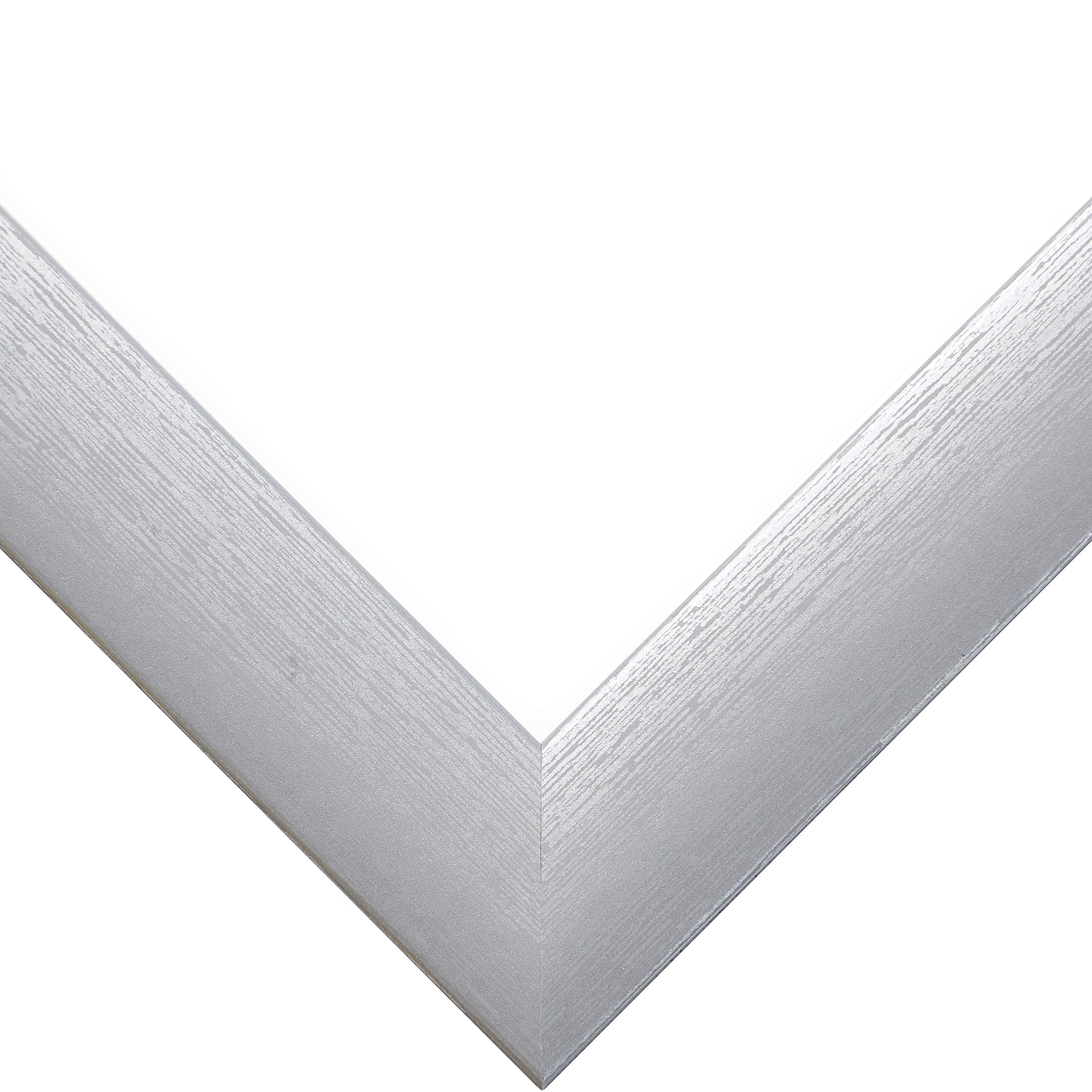 Craig Frames Contemporary Picture Frame, 20 X 27 Inch, Brushed Silver