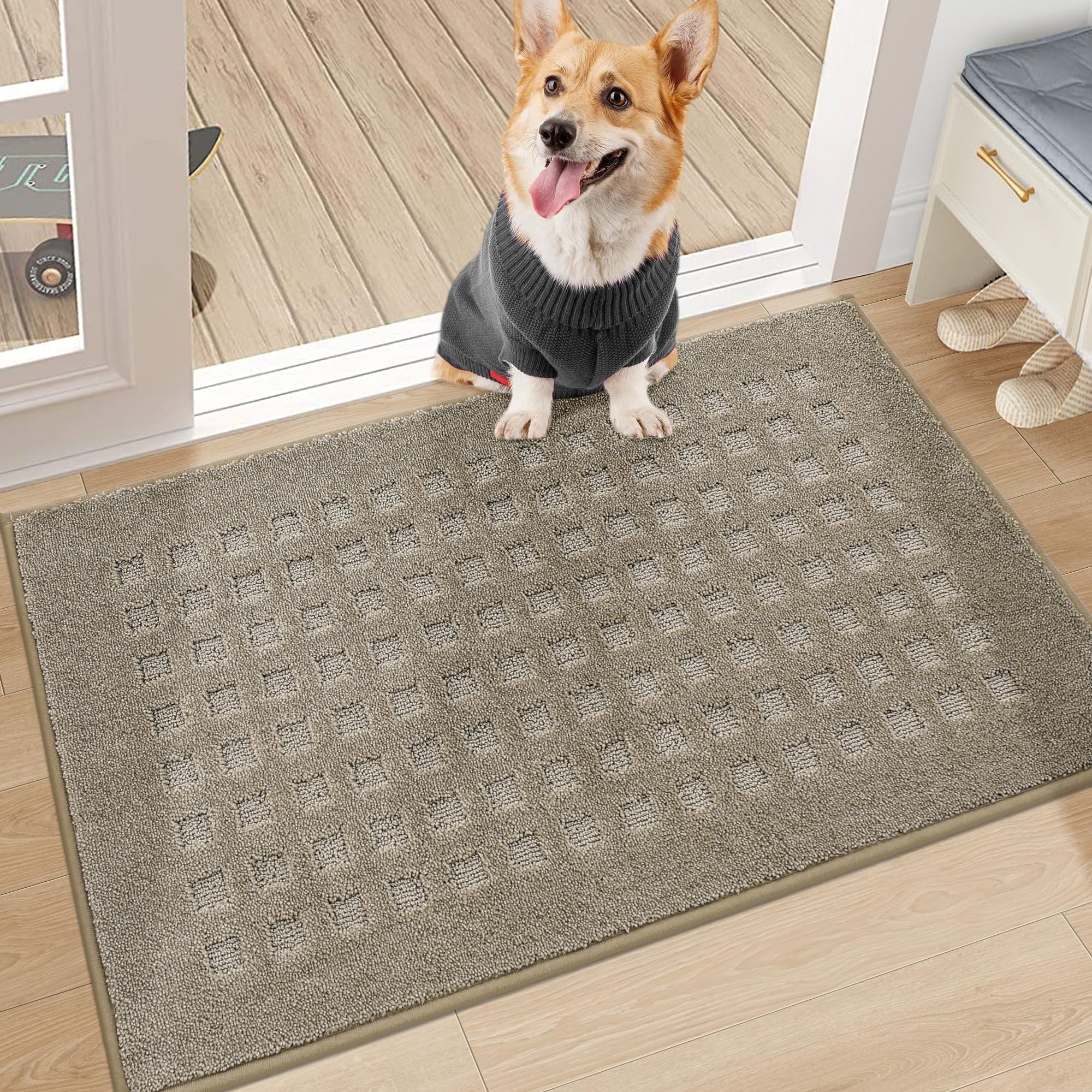 Beqhause Door Mat 20'X32', Absorbent And Dirt Resistant Doormats Floor Mat Non-Slip Washable Rugs For Entryway, Dog Door Mat,