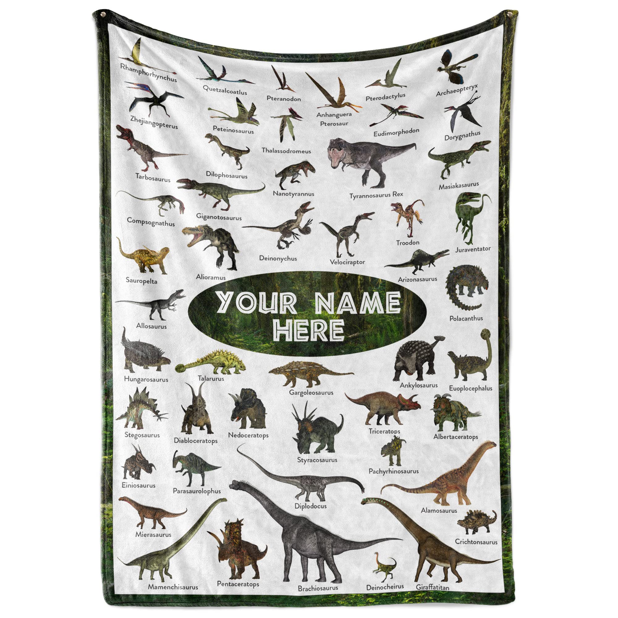 Personalized Dinosaur Blanket For Kids, Ships Next Day - Dino Throw Blanket For Boys And Girls, Toddler Bed, Room & Bedroom Deco
