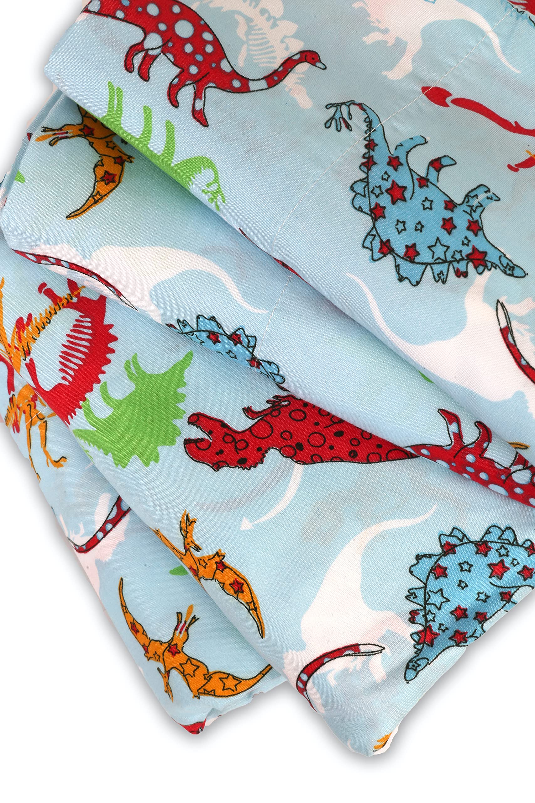 Mallary By Matthew Kids Super Soft-Soft 100% Microfiber Print Sheet, Dinosaurs Print, Twin