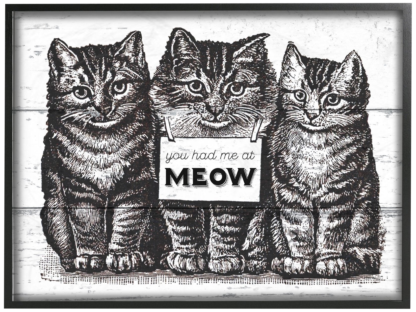 The Stupell Home D  cor Collection You Had Me at Meow Cats Oversized Framed Giclee Texturized Art, 16 in x 20 in