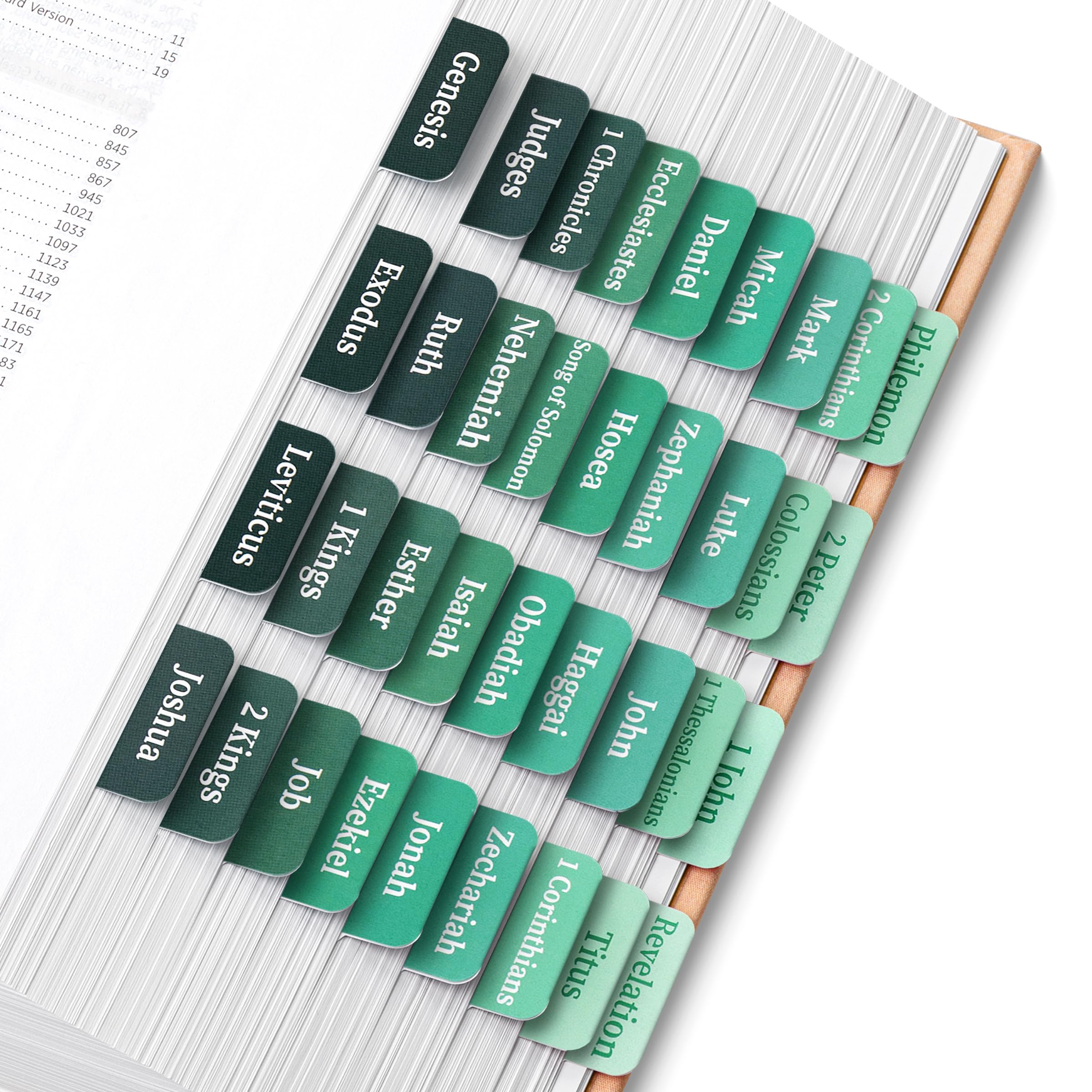 Mr. Pen- Bible Tabs, 75 Tabs, Jade Veil, Laminated Bible Tabs For Women And Men, Bible Tabs For Study Bible, Bible Index Tabs, B