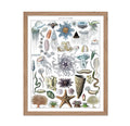 Poster Master Vintage Adolphe Millot Poster - Retro Marine Biology Print - Gift for Artist, Biologist - Jellyfish, Oceanography,