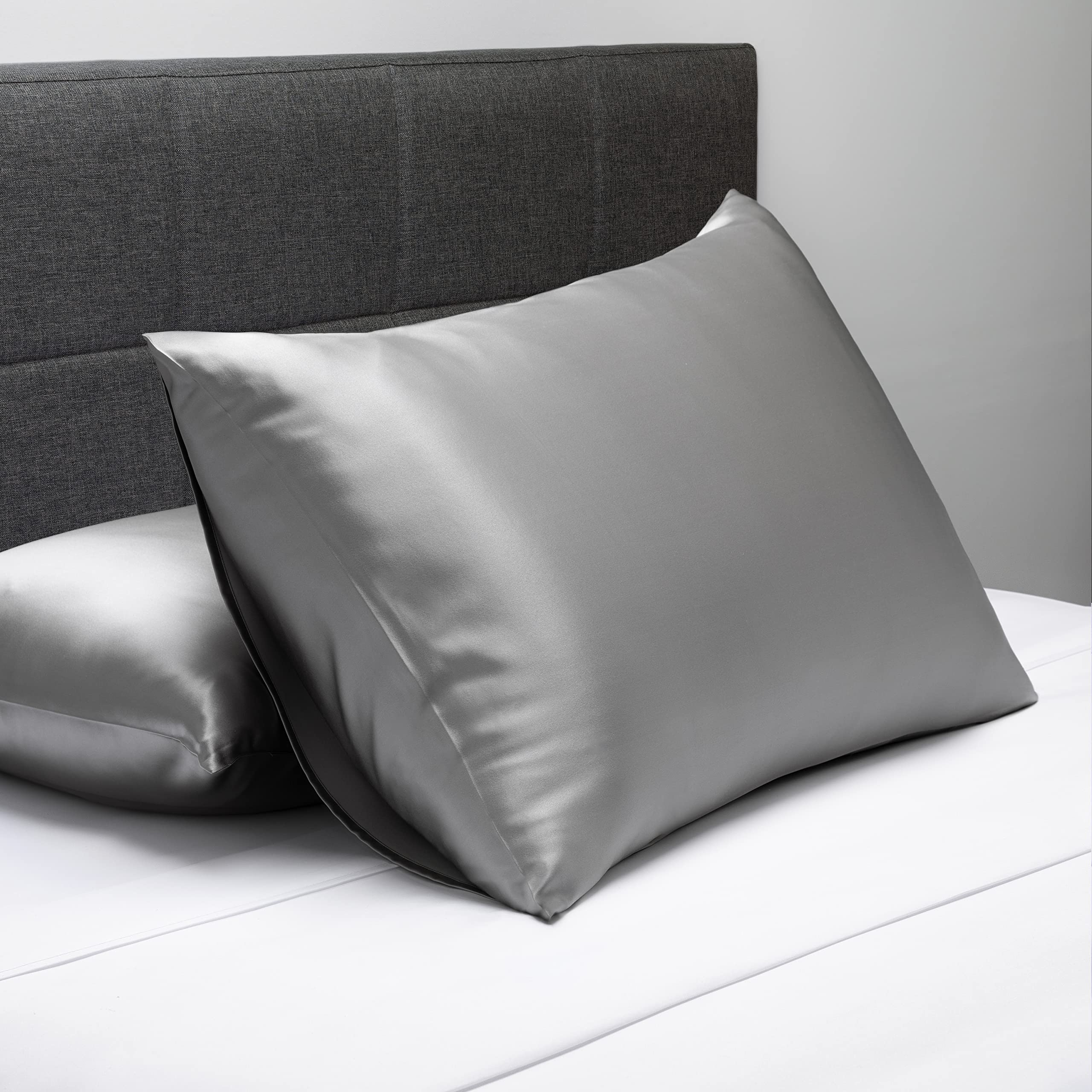 Fishers Finery 25Mm 100% Pure Mulberry Silk Pillowcase, Good Housekeeping Winner (Silver, Queen)