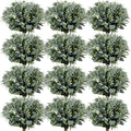 60 Pcs Mixed Eucalyptus Leaves Stems Bulk with White Seeds Artificial Silver Dollar Leaves Sprays Faux Oval Eucalyptus Leaves fo