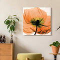 Empire Art Direct Frameless Free Floating Tempered Glass Panel Graphic Wall Art Ready to Hang, 24 x 24, Poppy Orange