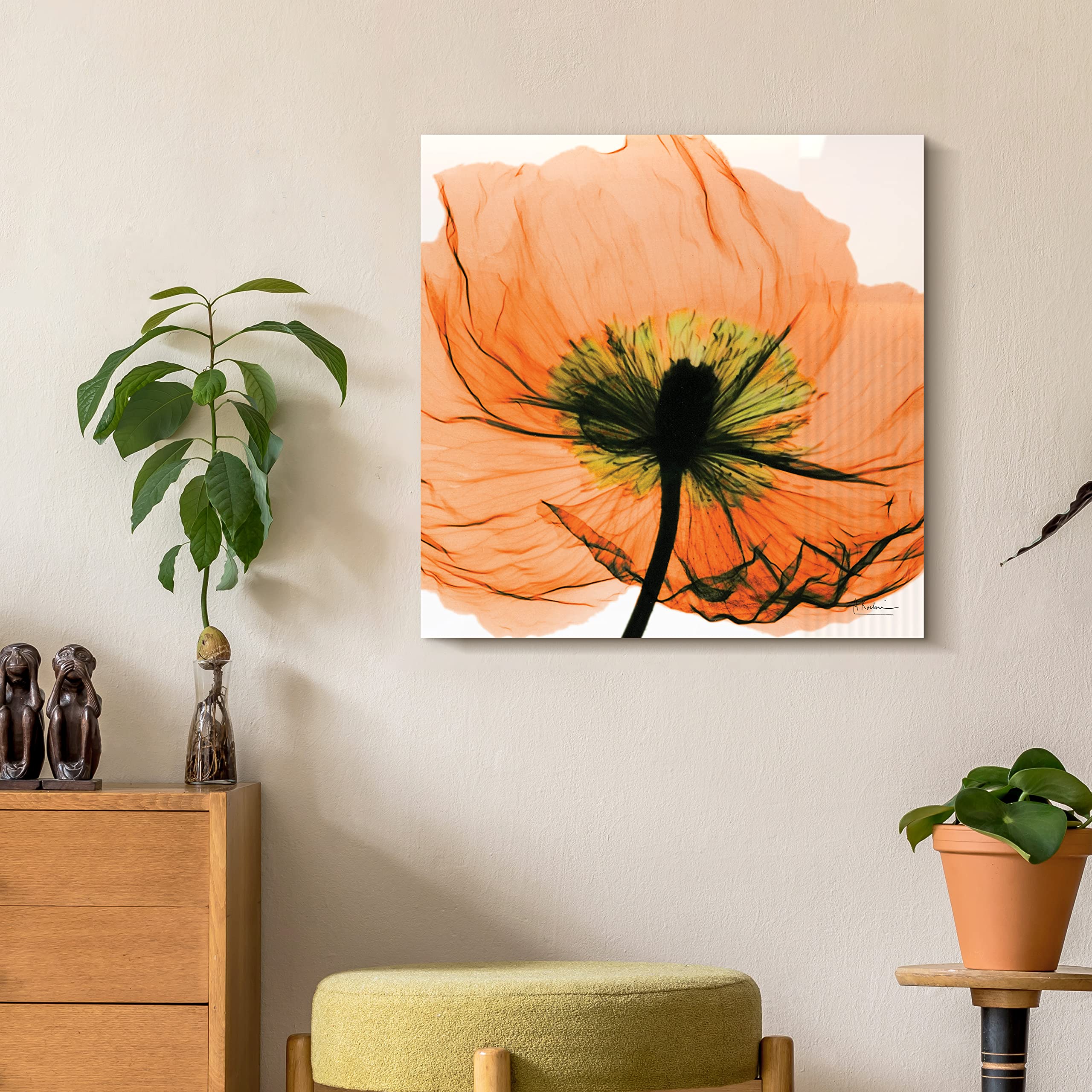 Empire Art Direct Frameless Free Floating Tempered Glass Panel Graphic Wall Art Ready to Hang, 24 x 24, Poppy Orange