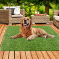 Xlx Turf Artificial Grass Rug 4 Ft X 4 Ft Square Carpet, Indoor/Outdoor Fake Grass Turf Floor Mat Area Rug For Dog Pet/Balcony/P
