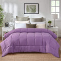Evolive All Season Pre Washed Soft Microfiber White Goose Down Alternative Comforter With Box Stitching (Lavender, Twin)