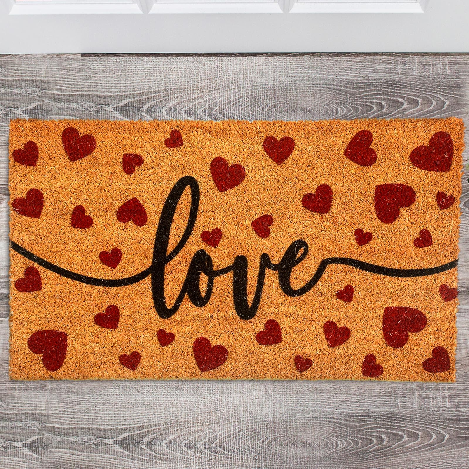 Ceenna Summer Ladybug Welcome Doormat Ladybug Coir Doormat With Non Slip Backing Summer Mat Front Porch Rugs For Home Entrance A