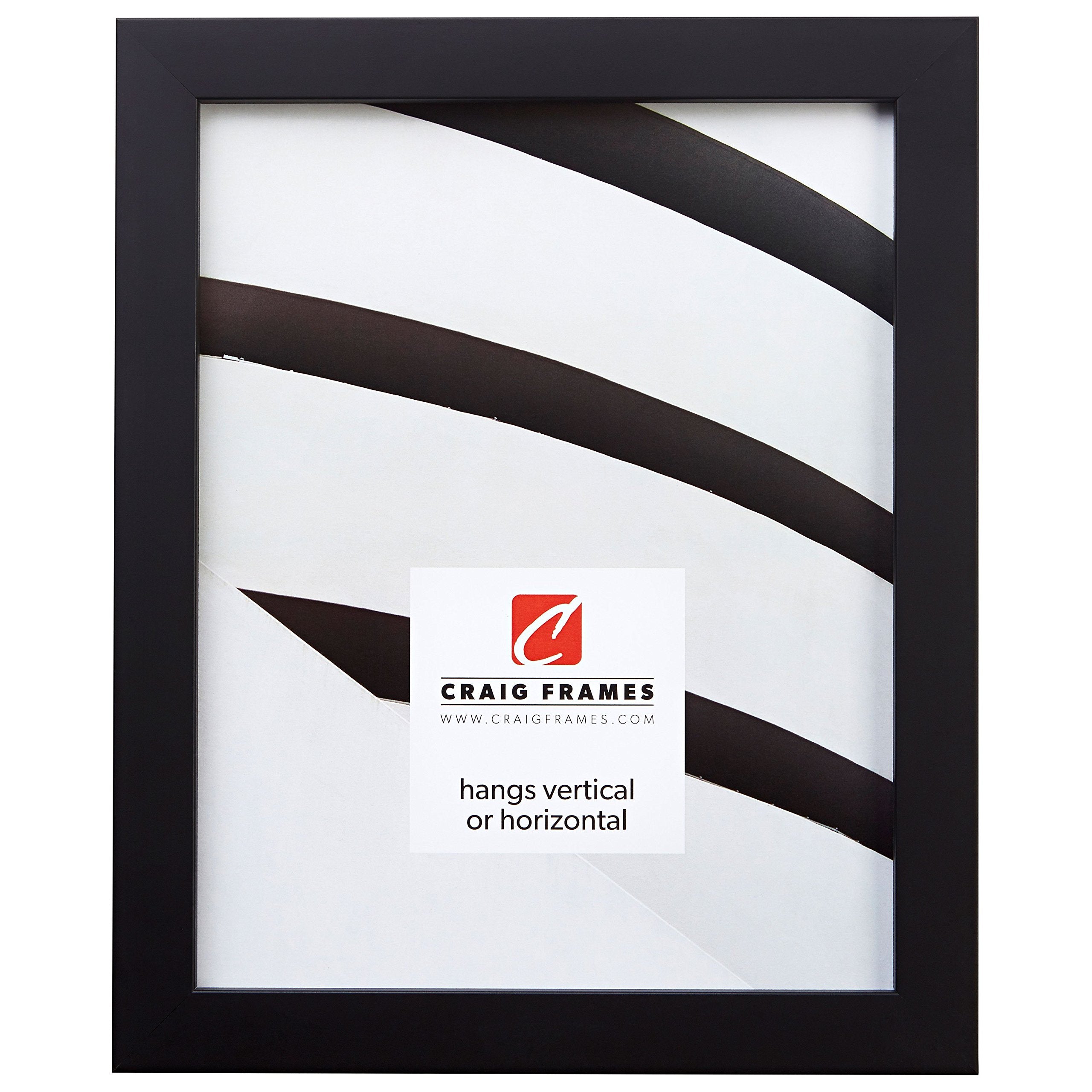 Craig Frames Confetti, Modern Black Picture Frame, 20 x 30 Inch