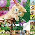 Super Cute 18 Month Baby Animals Wall Calendar 2025-2026. Big 12X12 Inch Novelty Gift With Puppies, Kittens And More. Great For