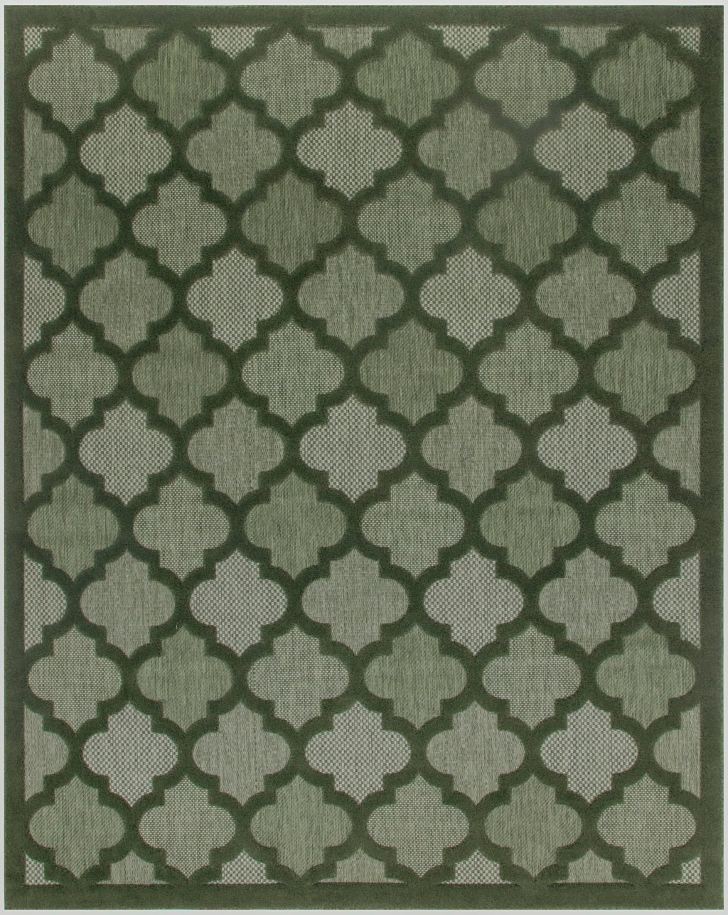 Nourison Easy Care Modern Indoor/Outdoor Green 8' X 10' Area Rug, Easy Cleaning, Non Shedding, Bed Room, Living Room, Dining Room, Backyard, Deck, Patio (8X10)