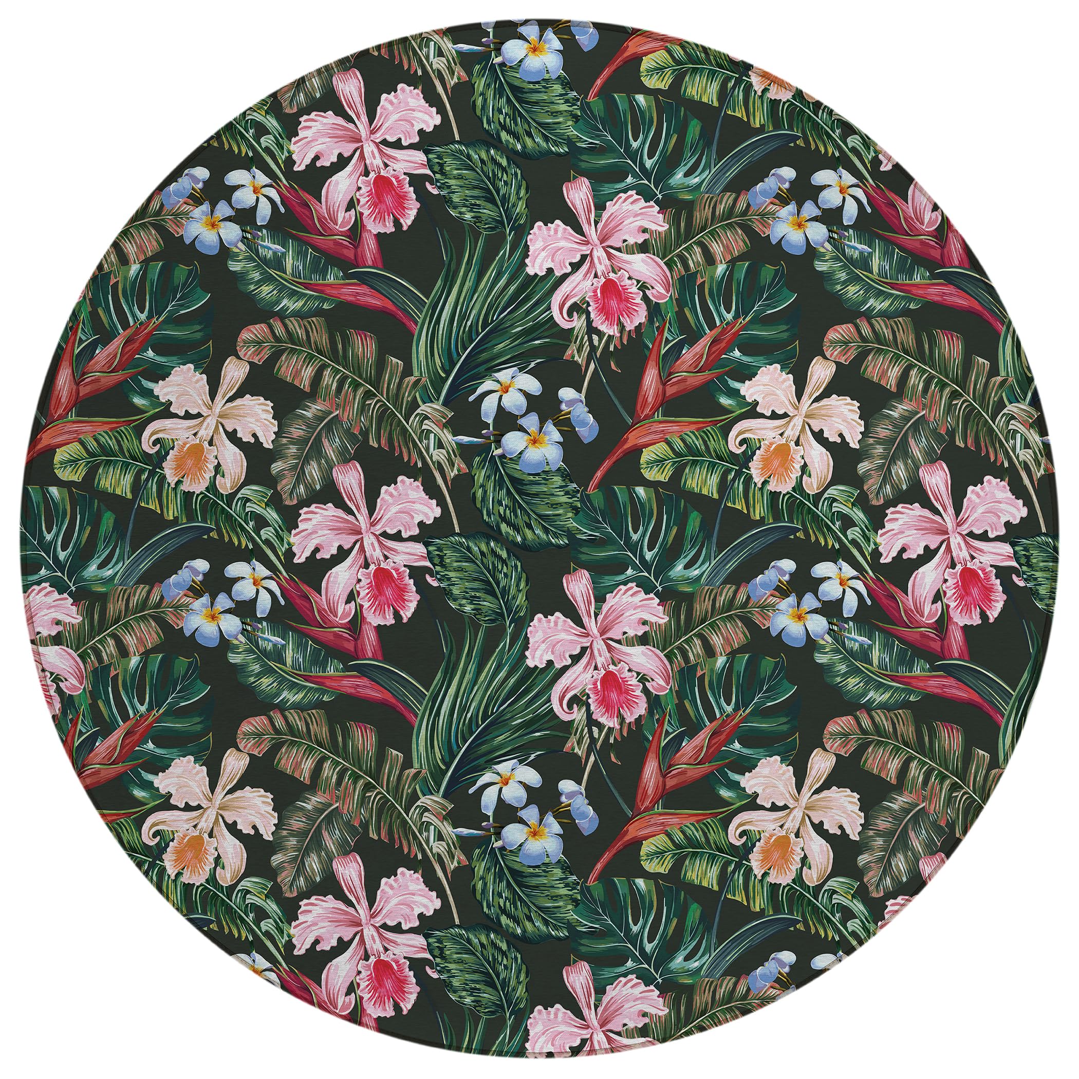 Dalyn Rugs Tropics Tc6 Black 8' X 8' Indoor Outdoor Round Rug, Easy Clean, Machine Washable, Non Shedding, Bedroom, Living Room, Dining Room, Kitchen, Patio Rug