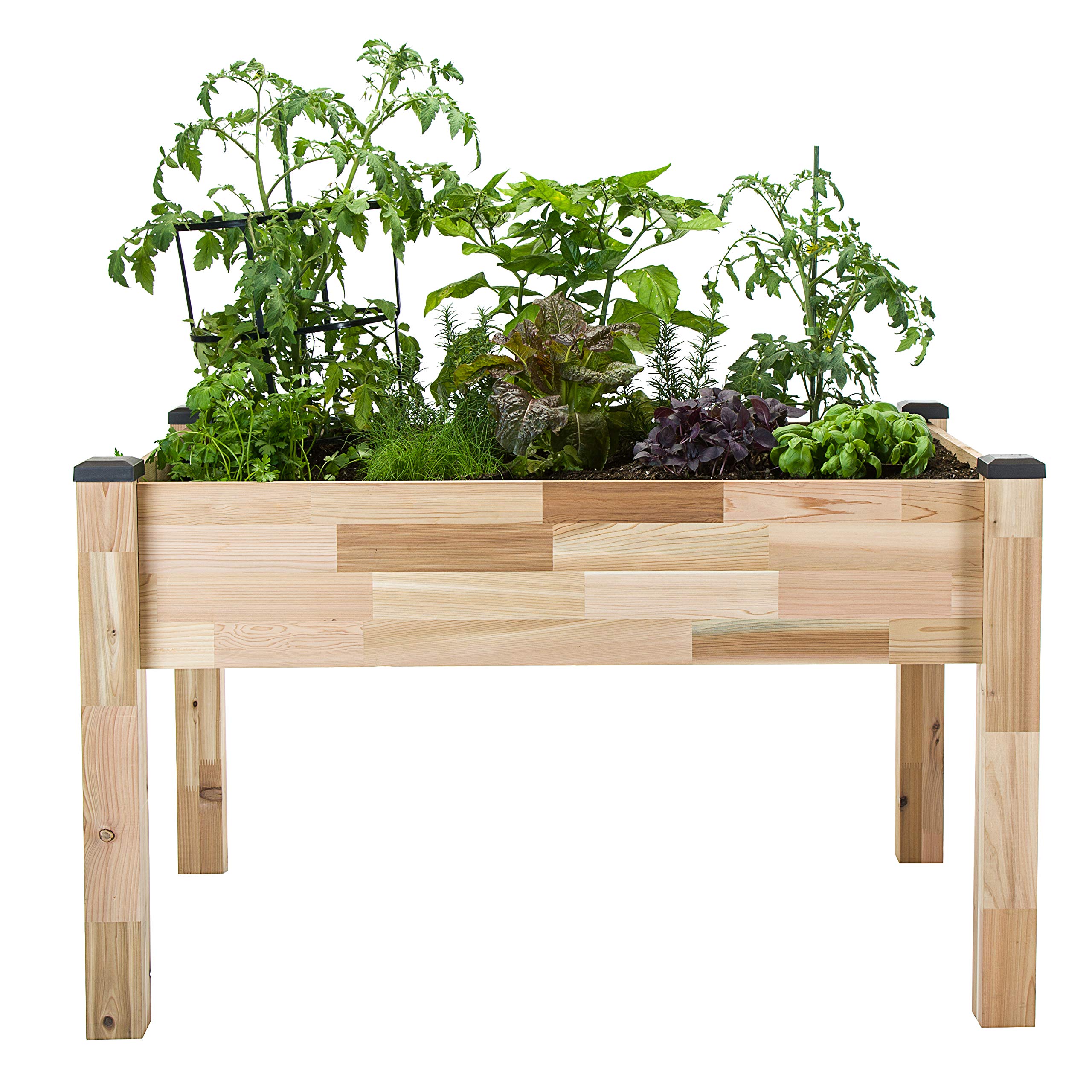 Cedarcraft Self-Watering Elevated Cedar Planter (23' X 49' X 30') - Grow Fresh Vegetables, Herb Gardens, Flowers & Succulents