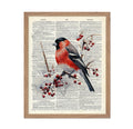 Poster Master Dictionary Art Poster - Eurasian Bullfinch Print - Bird Art - Red Berry Art - Gift for Men, Women & Animal Lover -