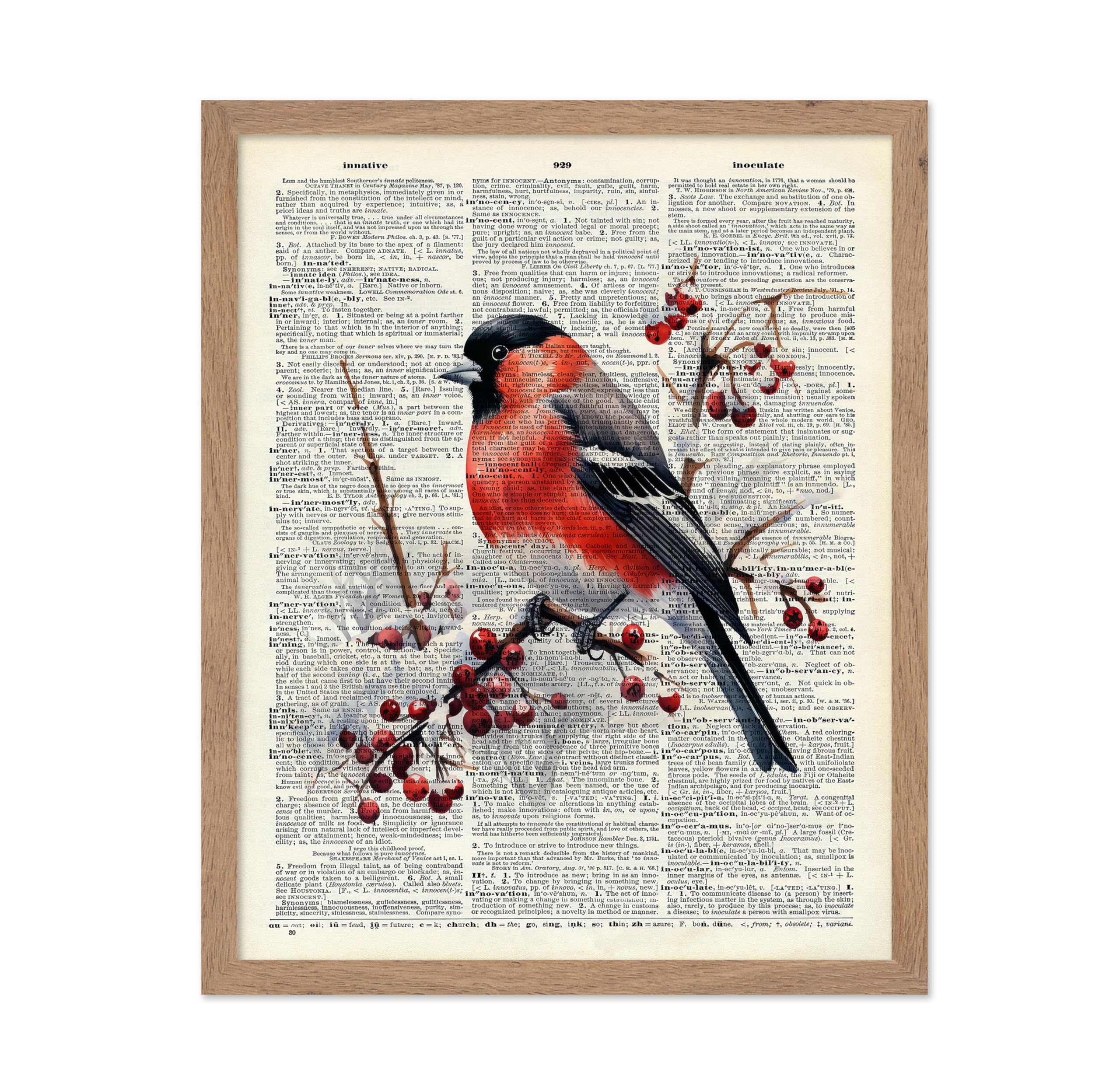 Poster Master Dictionary Art Poster - Eurasian Bullfinch Print - Bird Art - Red Berry Art - Gift for Men, Women & Animal Lover -