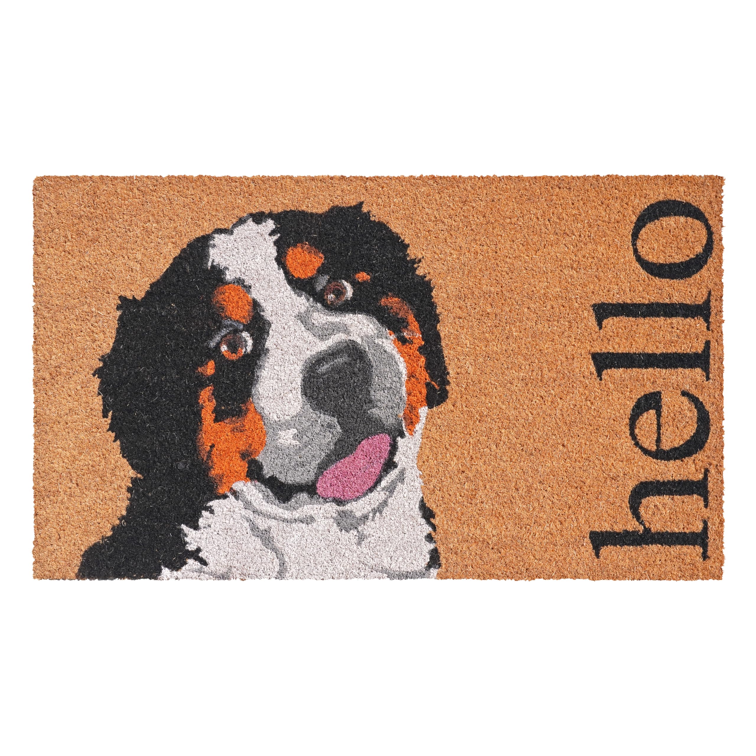Calloway Mills 109811729 Burmese Mountain Dog Doormat 17' X 29'