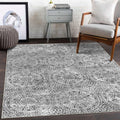 vivorug 4x6 Rug, Stain Resistant Washable Rug for Living Room, Neutral Area Rug Vintage Inspired (Grey/Medallion, 4x6)