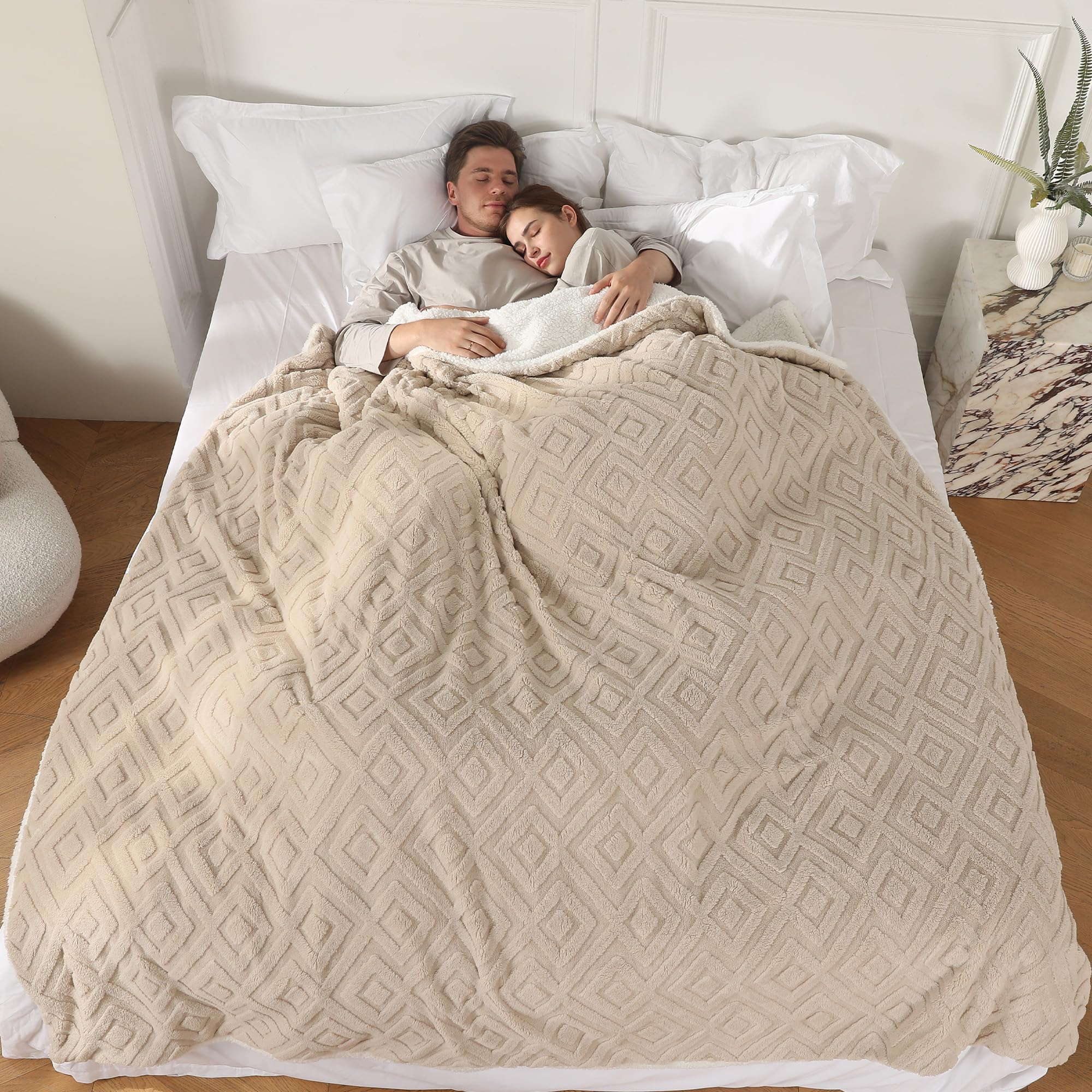 Electric Blanket Queen Size, Heated Blanket With 5 Heat Settings & 10 Time Settings, Super Soft Cozy Sherpa Blanket With Fast He