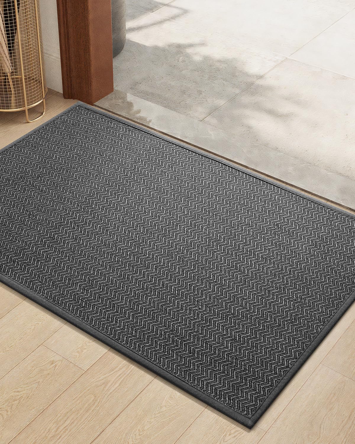 Color&Geometry Thin Indoor Entrance Mats For Home, 24'X36' Indoor Mats For Entryway Non Slip Rubber Backed, Dirt Trapper Door