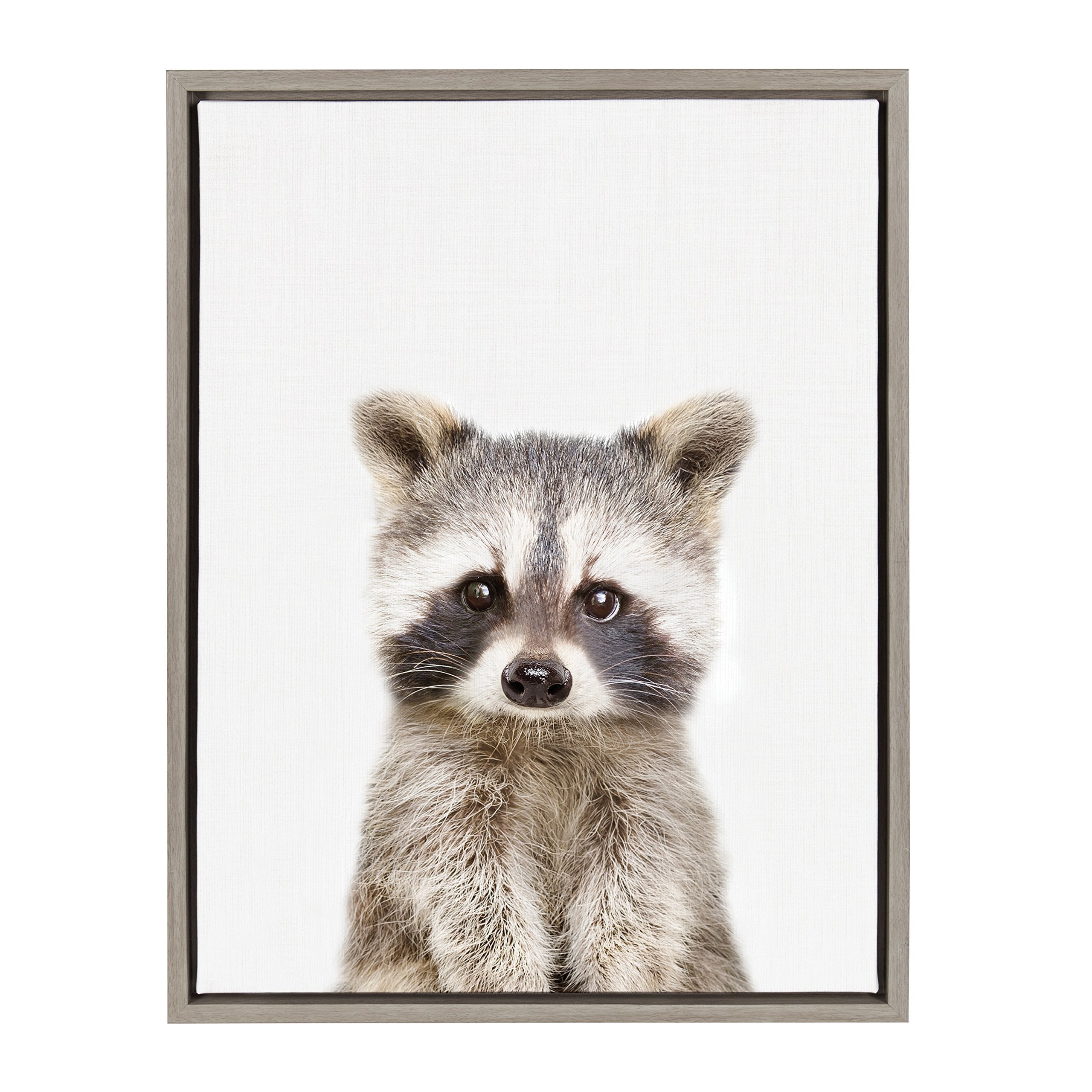 Kate and Laurel Sylvie Baby Raccoon Animal Print Portrait Framed Canvas Wall Art by Amy Peterson, 18x24 Gray