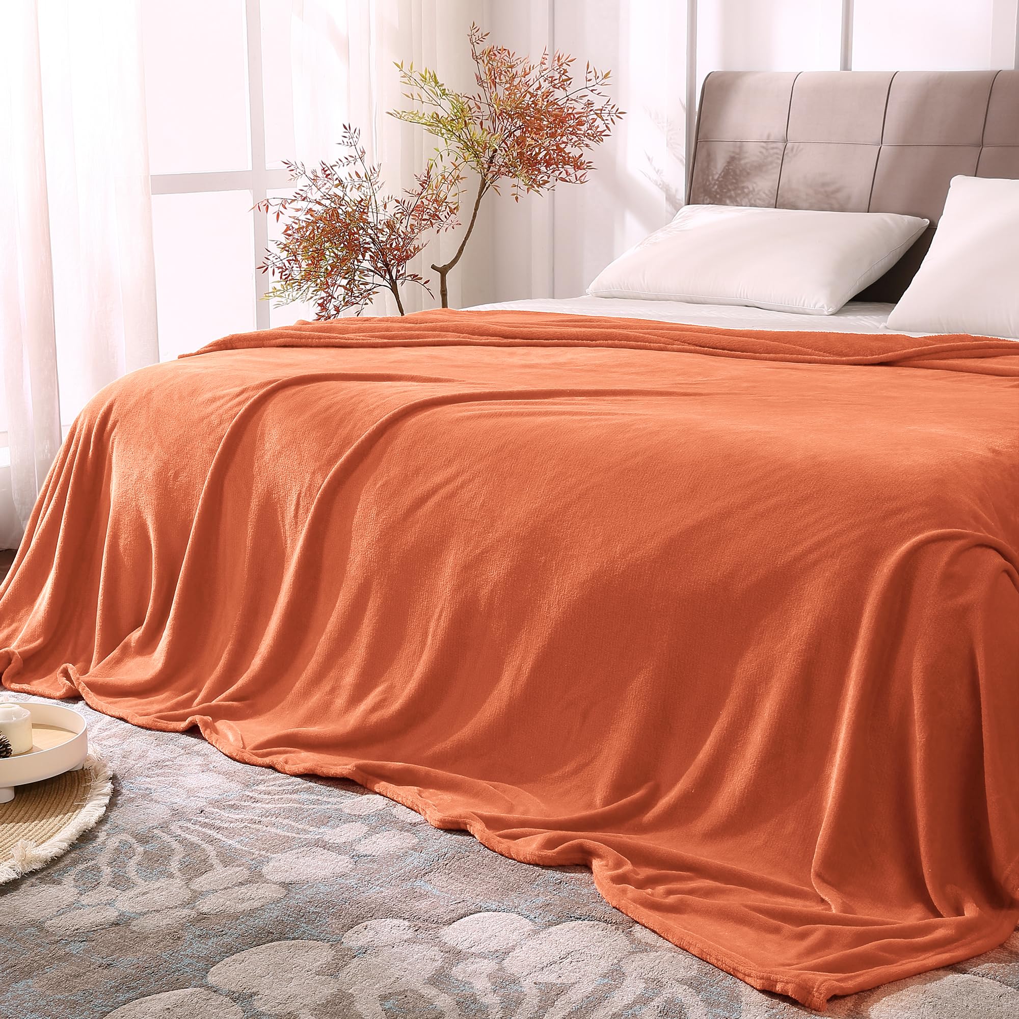 Bedelite Fleece Blankets Queen Size Burnt Orange Throw Blankets For Bed, Luxury Plush Cozy Fuzzy Blanket 90X90 Inches, Super Sof