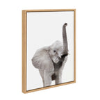 Sylvie Young Elephant Framed Canvas by Amy Peterson