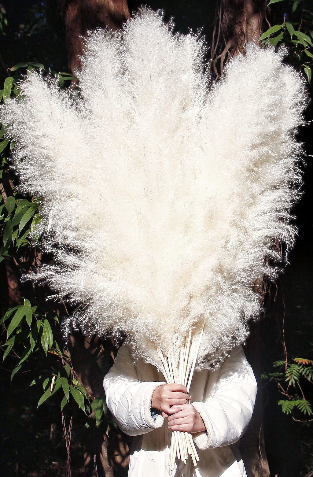 46'' Inch 10 Stems White Pampas Grass Decor Tall, Dry Flowers For Floor Vases Decor, Natural Dried Flowers For Wedding, Natural