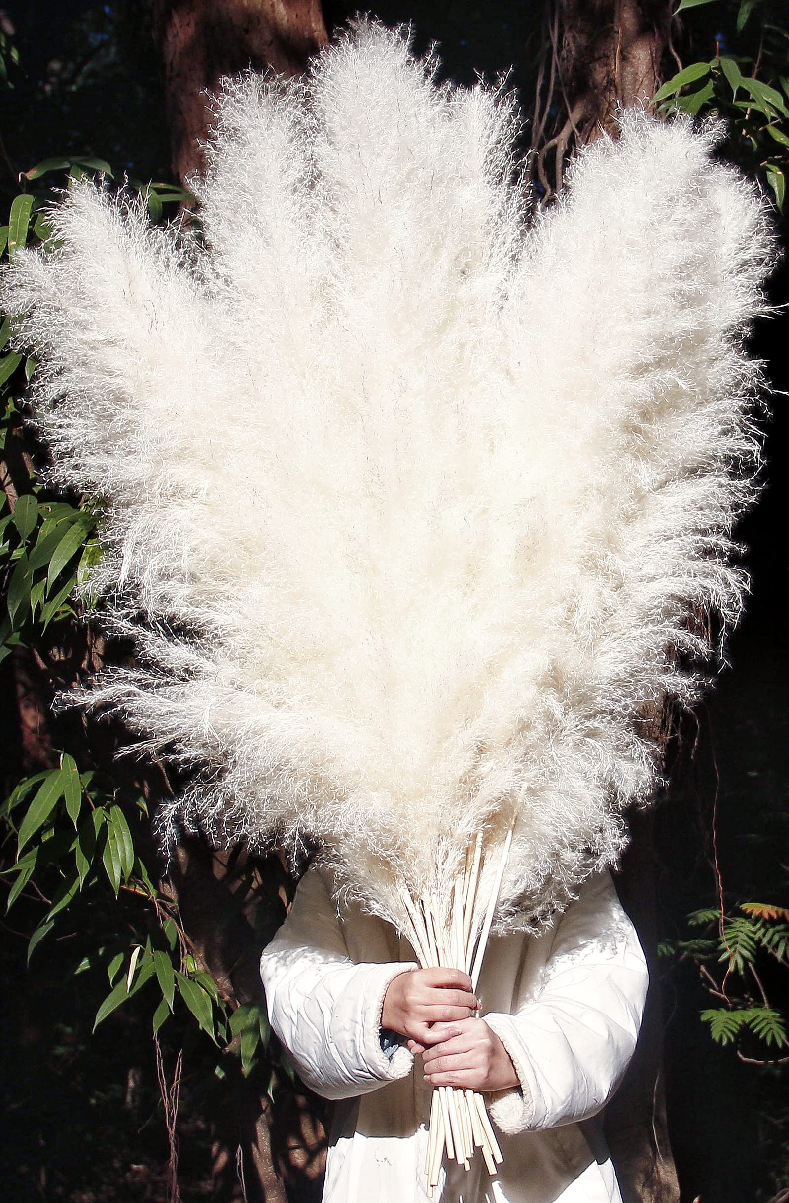 46'' Inch 10 Stems White Pampas Grass Decor Tall, Dry Flowers For Floor Vases Decor, Natural Dried Flowers For Wedding, Natural