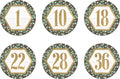 Teacher Created Resouces Eucalyptus Numbers 1-36 Repositionable Labels - 4'