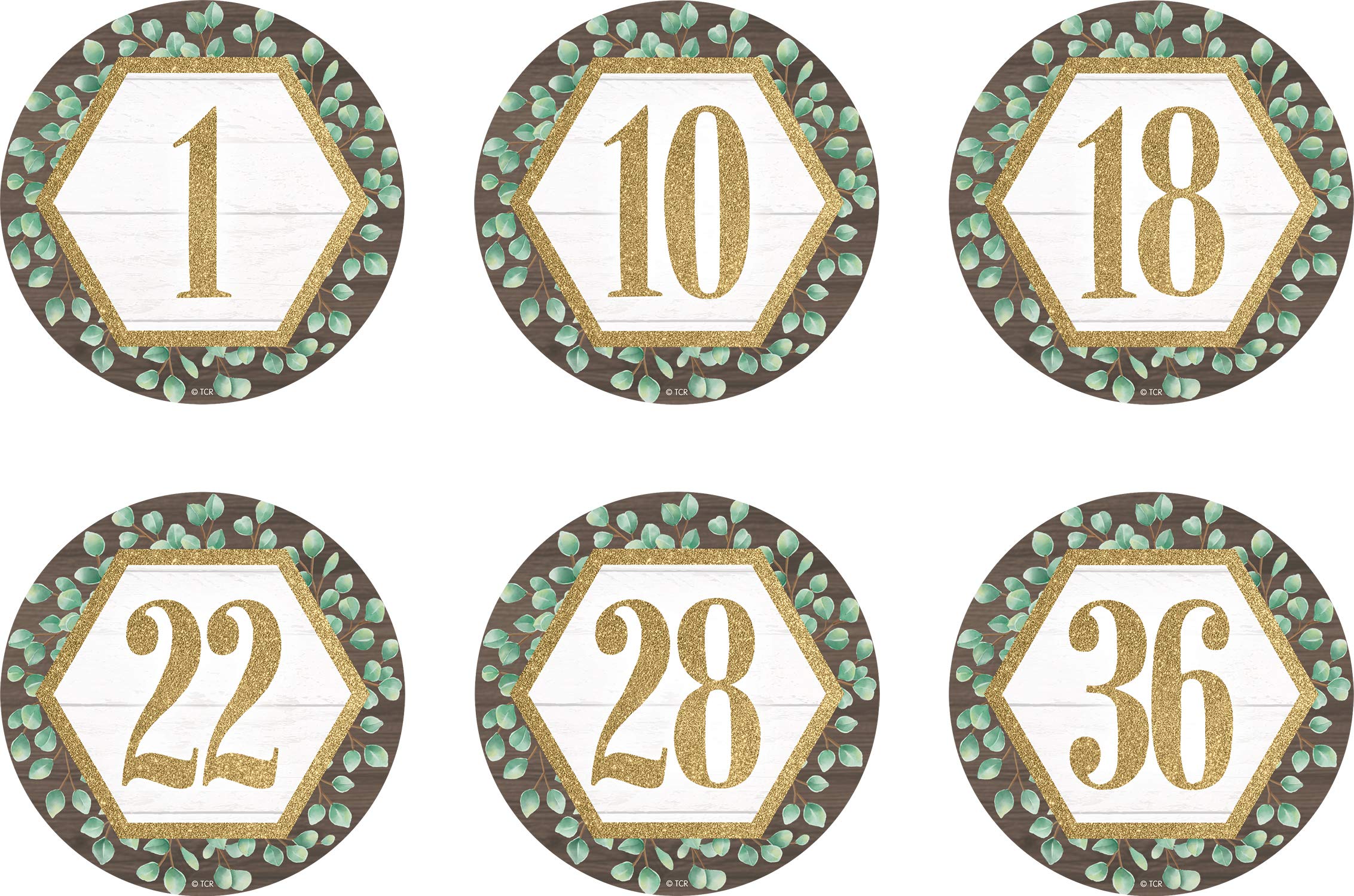 Teacher Created Resouces Eucalyptus Numbers 1-36 Repositionable Labels - 4'