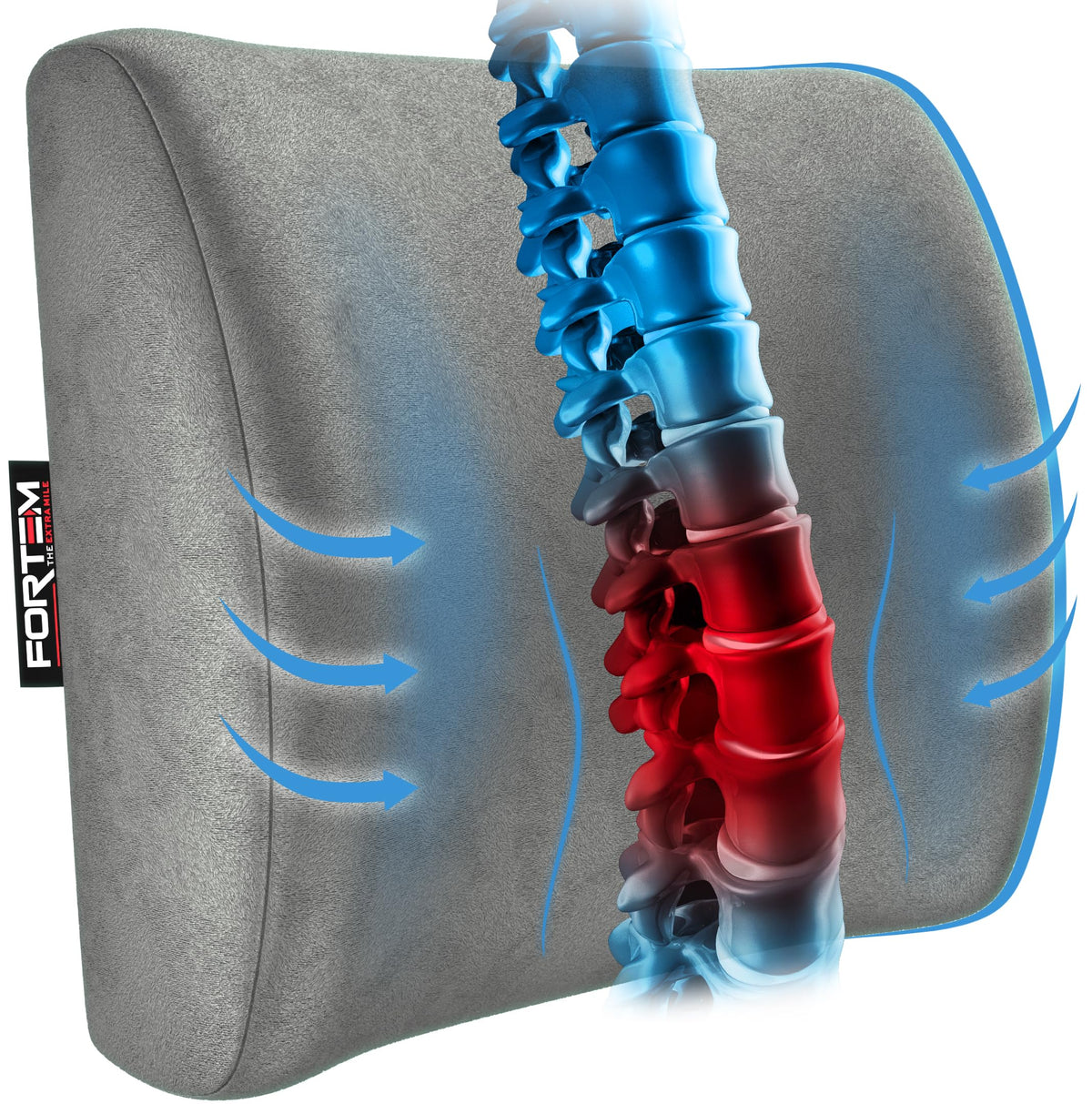Fortem Lumbar Support Office Chair, Lumbar Support Pillow For Car, Office Chair Back Support, Lumbar Pillow For Desk Chair, Memo