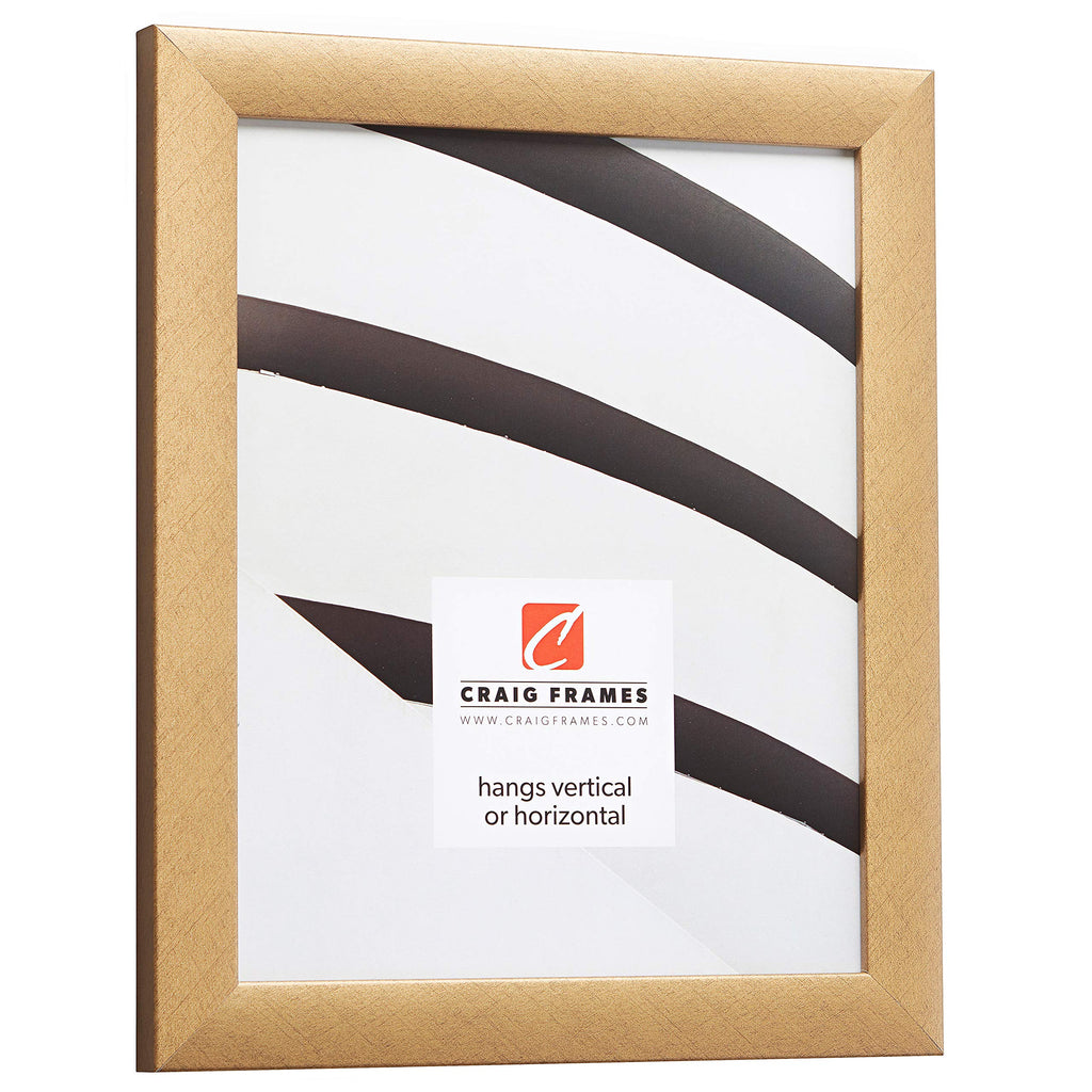 Craig Frames Contemporary Picture Frame, 11 X 14 Inch, Distressed Gold