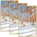 Golden State Art, 14X24 Aluminum Gold Picture Frame with Acrylic Front, Swivel Tabs, Sawtooth Hangers, Spring Clips, Metal Wall 