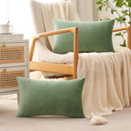 Anroduo Pack Of 2 Velvet Sage Green Throw Pillow Covers 12X20 Inch Decorative Pillow Covers Euro Cushion Case Soft Solid Lumbar