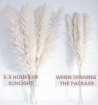 46'' Inch 10 Stems White Pampas Grass Decor Tall, Dry Flowers For Floor Vases Decor, Natural Dried Flowers For Wedding, Natural