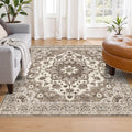 TOPRUUG Washable 5x5 Rug Square - Ultra Soft Living Room Area Rug Under Sofa Non-Slip Rugs for Bedroom Dining Room - Stain Resis