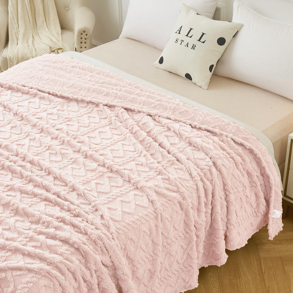 Aganear Fleece Blanket Queen Size - Plush Fuzzy Cozy Sof Blanket For Couch, Sofa, Bed, Office, Decorative Present For All Season