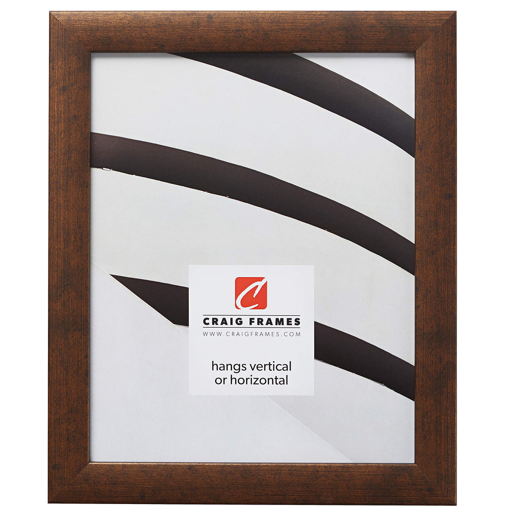 Craig Frames Contemporary Picture Frame, 17 x 24 Inch, Rustic Copper